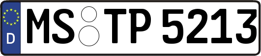 MS-TP5213