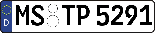 MS-TP5291