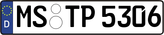 MS-TP5306