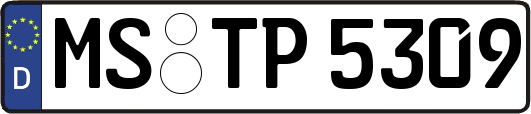 MS-TP5309
