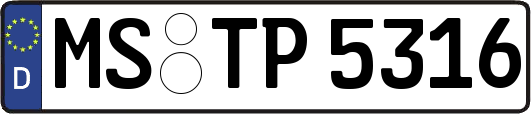 MS-TP5316