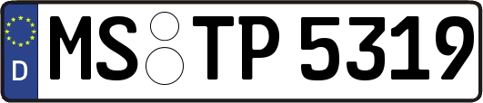 MS-TP5319
