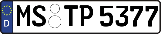 MS-TP5377