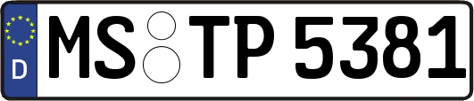 MS-TP5381