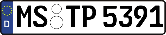 MS-TP5391