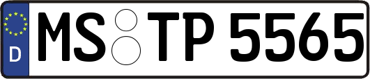 MS-TP5565