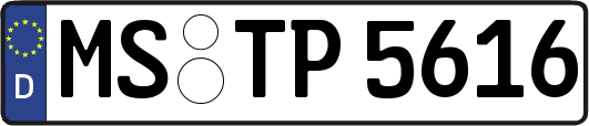 MS-TP5616