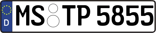 MS-TP5855