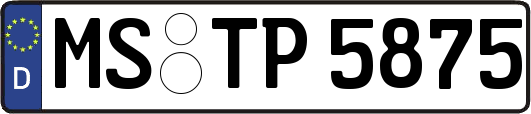 MS-TP5875