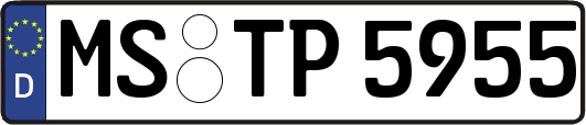 MS-TP5955