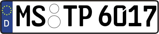 MS-TP6017