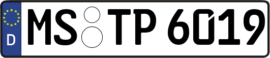 MS-TP6019