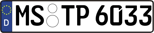 MS-TP6033