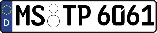 MS-TP6061