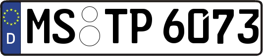 MS-TP6073