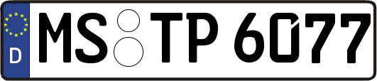MS-TP6077