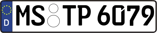 MS-TP6079