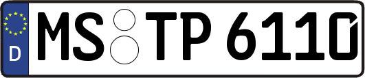 MS-TP6110