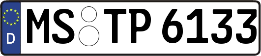 MS-TP6133