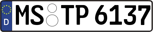 MS-TP6137