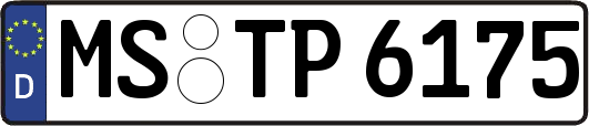 MS-TP6175