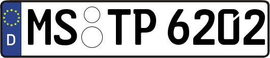 MS-TP6202