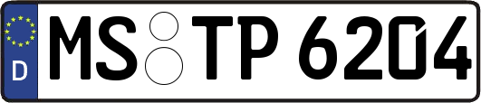 MS-TP6204