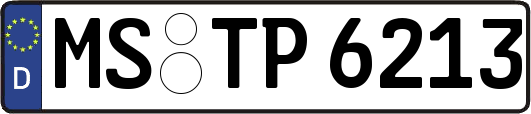 MS-TP6213
