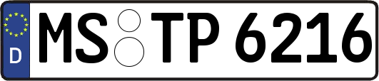 MS-TP6216