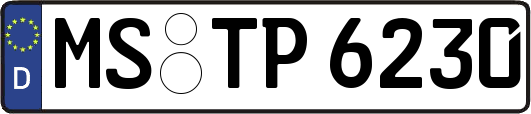 MS-TP6230