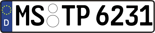 MS-TP6231