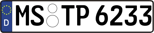 MS-TP6233
