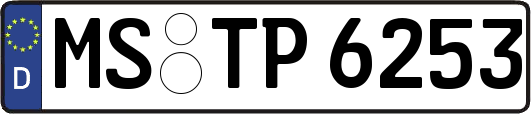 MS-TP6253
