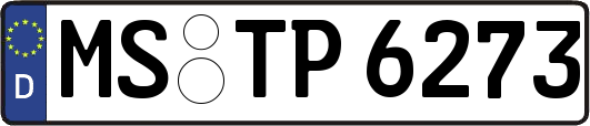 MS-TP6273