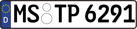 MS-TP6291