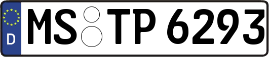 MS-TP6293