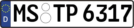 MS-TP6317