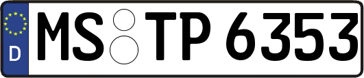 MS-TP6353
