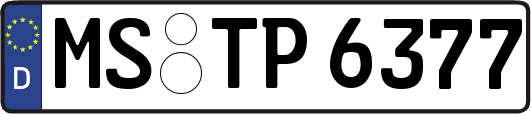 MS-TP6377