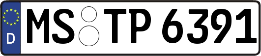 MS-TP6391