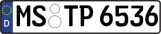 MS-TP6536