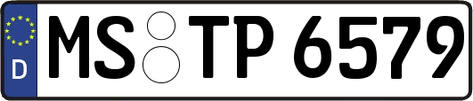 MS-TP6579