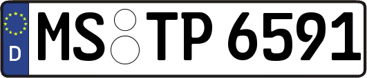 MS-TP6591