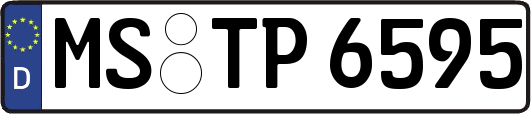 MS-TP6595