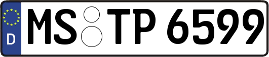 MS-TP6599