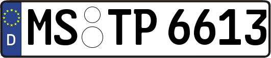 MS-TP6613