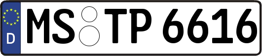 MS-TP6616