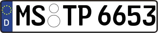 MS-TP6653