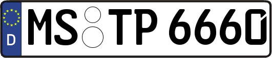 MS-TP6660