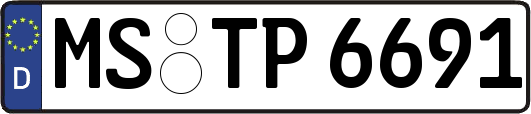 MS-TP6691